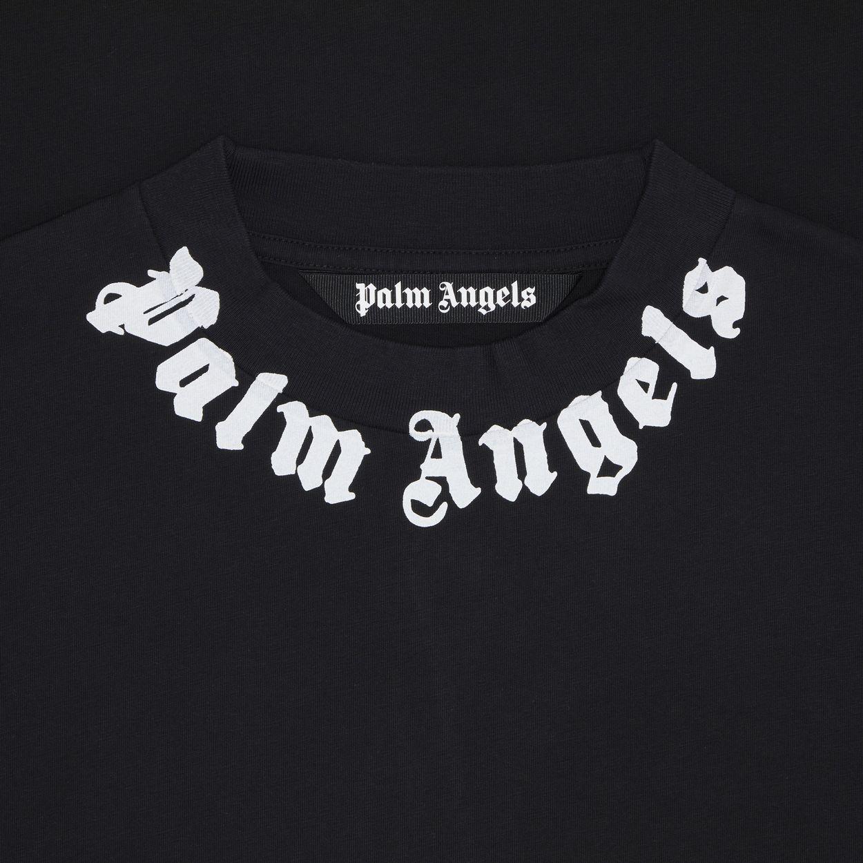 Palm Angeles